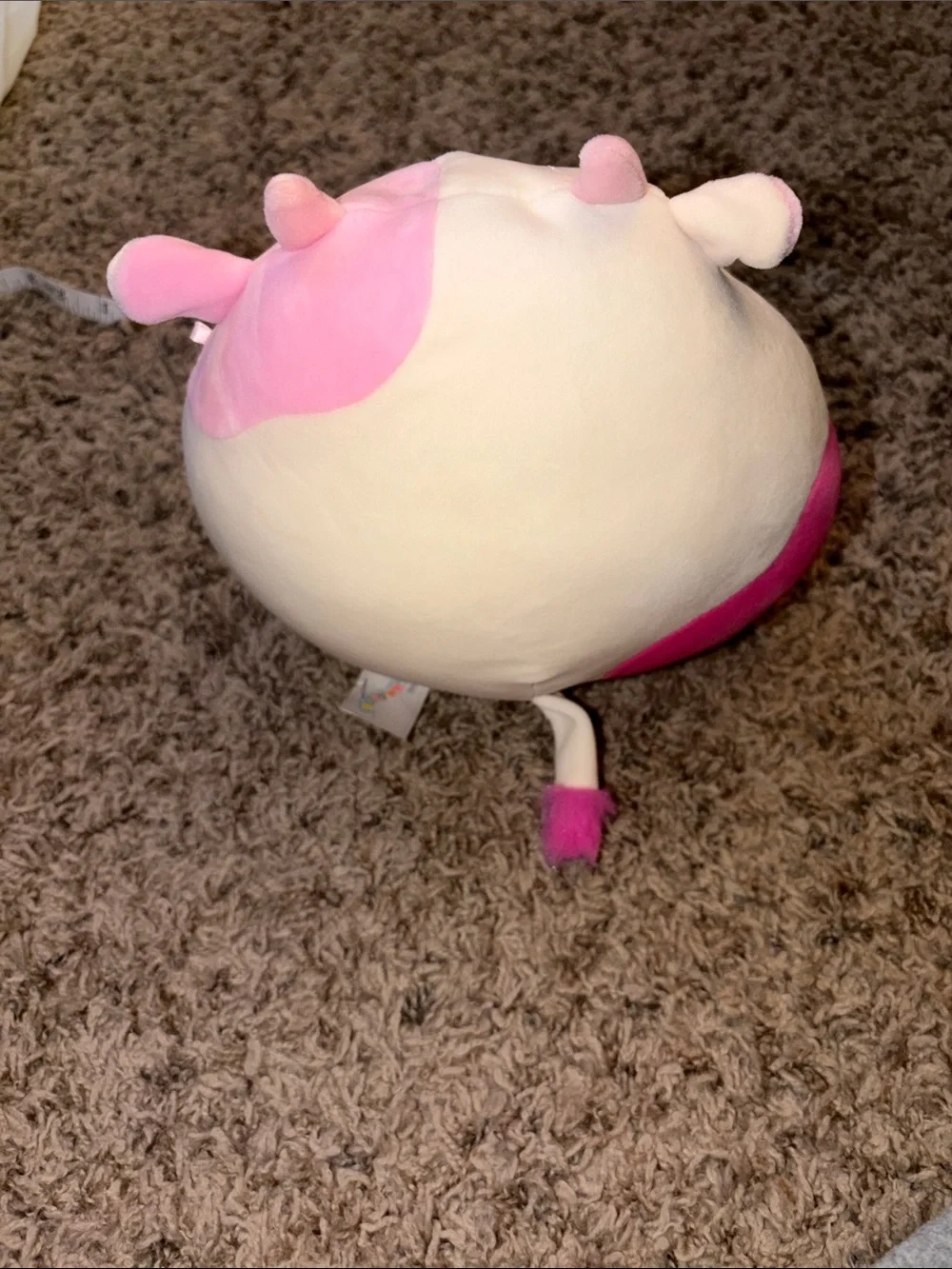 Squishmallows 8” Caedyn Pink & White Cow Plush Closed Eyes NWOT